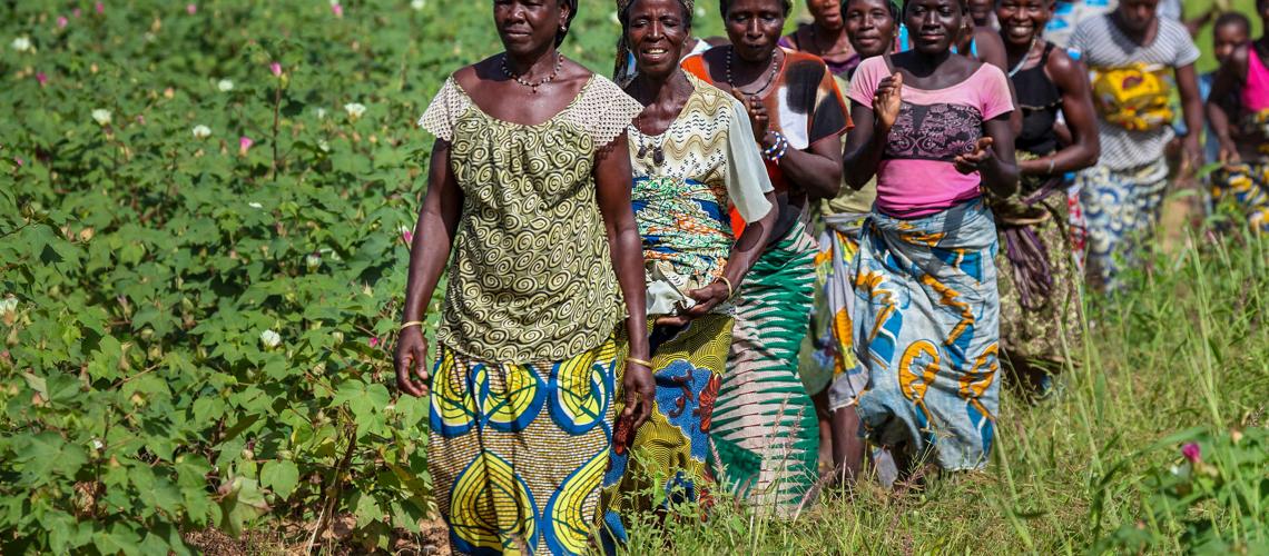 Women walking along a path