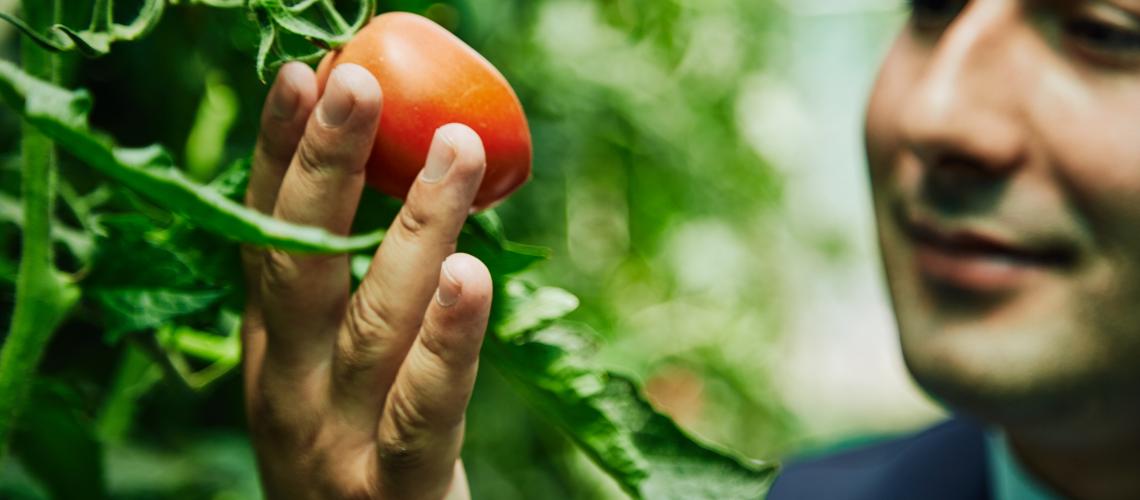 Guy checking out a fruit