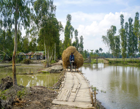 Image showing man on bicycle hauling straw beside a river