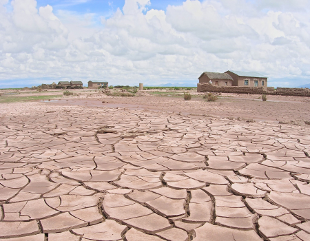 Cracked desert earth