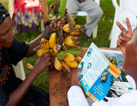 Man holding bunch of bananas