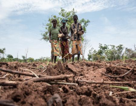 Three people working with the soil